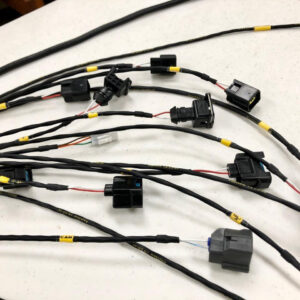 Custom Wiring Harness - Fueltech